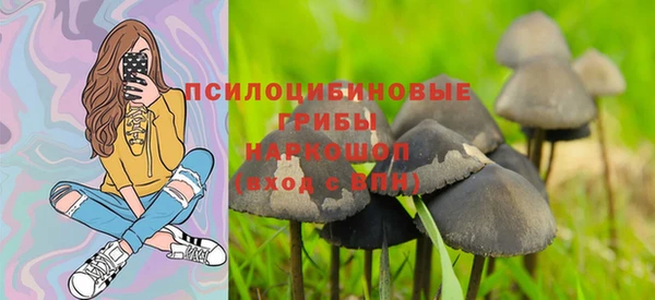 марки nbome Алексеевка