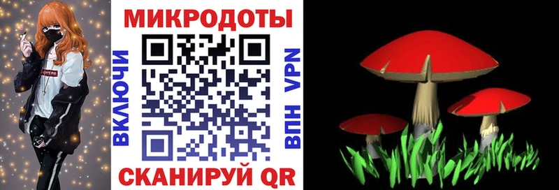 Галлюциногенные грибы Cubensis  Дегтярск 